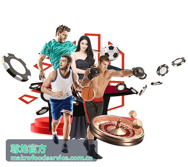 全面了解世界杯球迷身份证：申请与使用指南