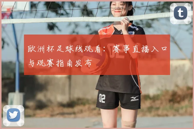 欧洲杯足球线观看:赛事直播入口与观赛指南发布
